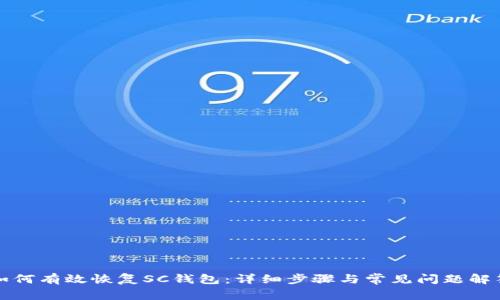 如何有效恢復(fù)SC錢包：詳細(xì)步驟與常見問題解答